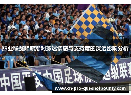 职业联赛降薪潮对球迷情感与支持度的深远影响分析