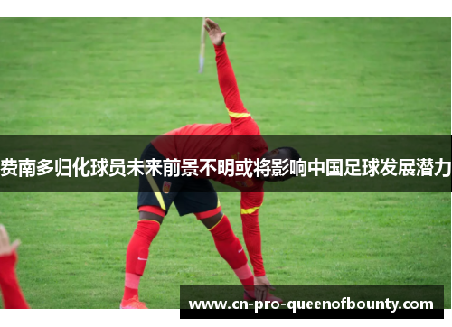 费南多归化球员未来前景不明或将影响中国足球发展潜力
