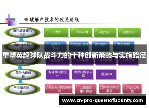 重塑英超球队战斗力的十种创新策略与实施路径