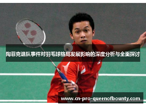 陶菲克退队事件对羽毛球格局发展影响的深度分析与全面探讨