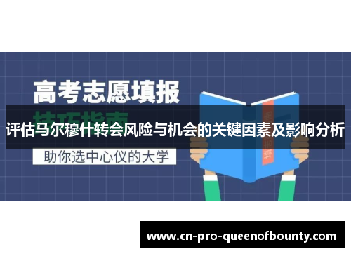 评估马尔穆什转会风险与机会的关键因素及影响分析 评估马尔穆什转会风险与机会的关键因素及影响分析