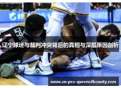 辽宁球迷与裁判冲突背后的真相与深层原因剖析