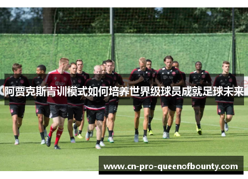阿贾克斯青训模式如何培养世界级球员成就足球未来